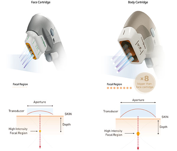 Face & Body Cartridge