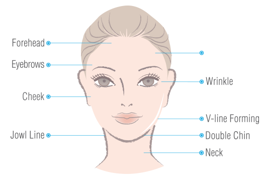 Ulfit Face Application